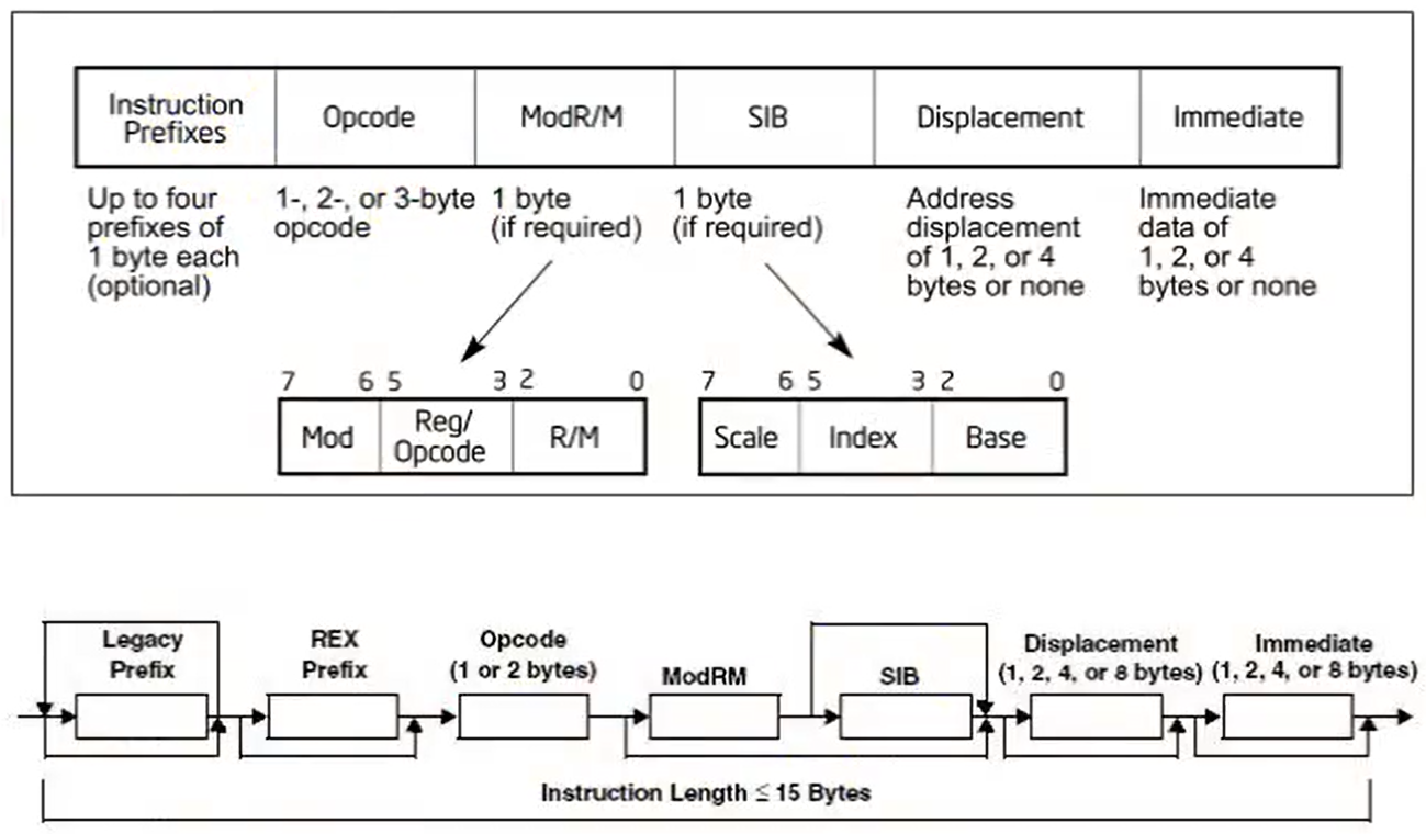 image-20231216230528497