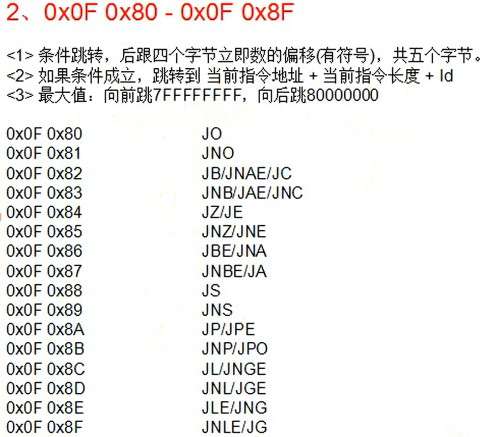 image-20231218205936389