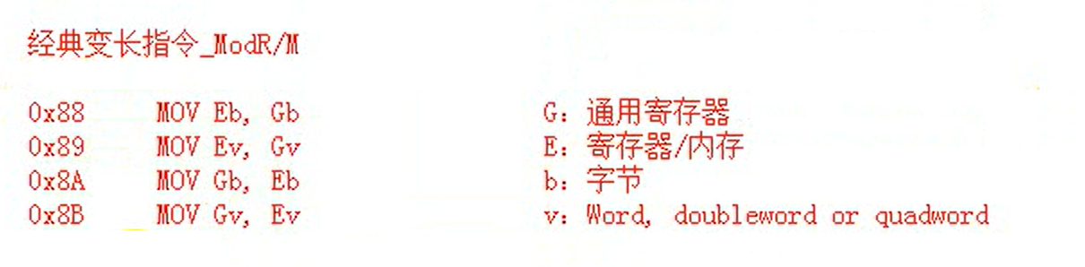 image-20231218220233910