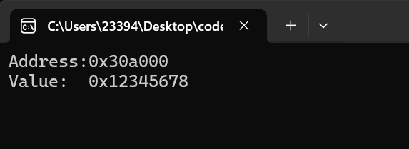 image-20240328143419116