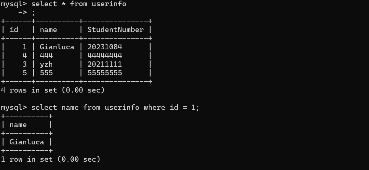 image-20241217204306484