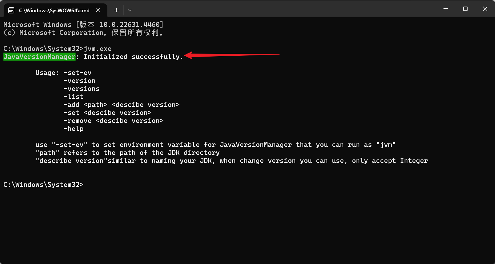 image-20241119113122608