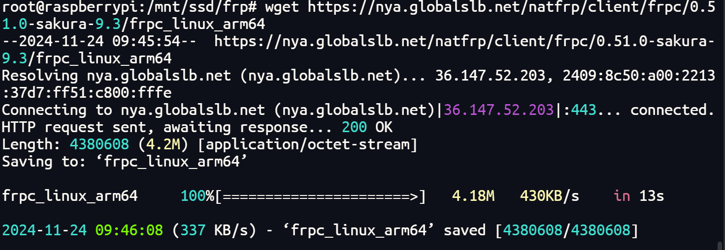 image-20241124095419276