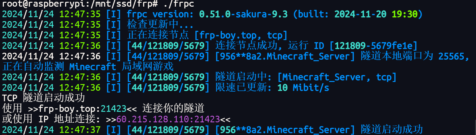 image-20241124124753469