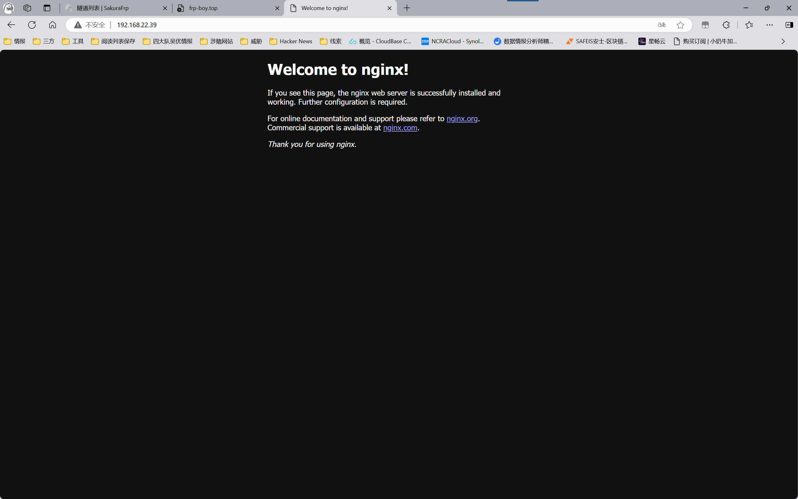 image-20241125163046438